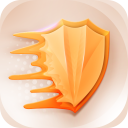 P VPN