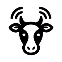 coWPAtty Premium