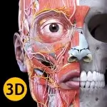 Anatomy 3D