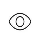 Painter Eye