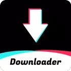 Tik Tok Downloader