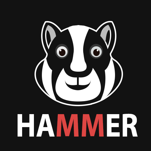 Hammer Hamtser VPN Premium