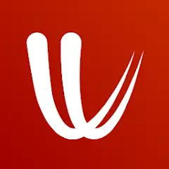Windy com Mod