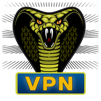 Cobra VPN