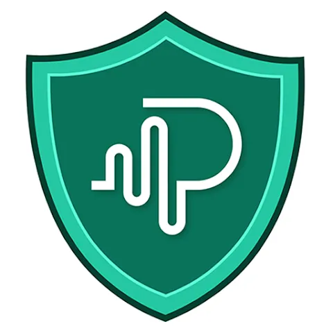Pulse VPN