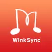 WinkSync