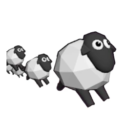 Leading Sheep