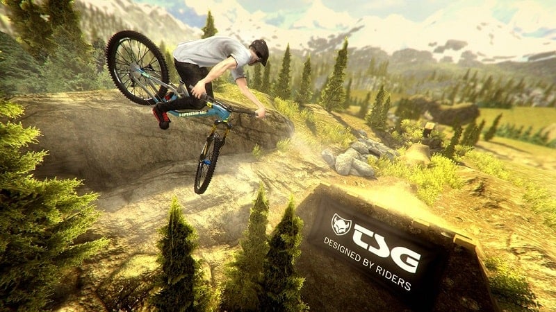 Shred 2 Shred 2