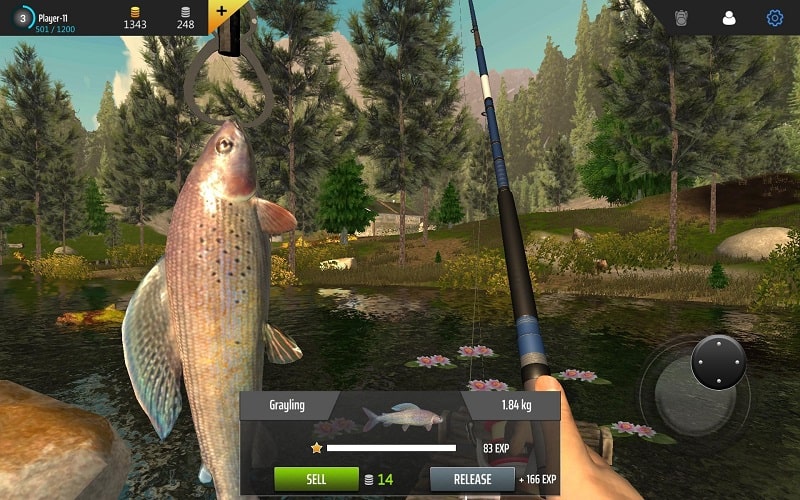 Professional Fishing