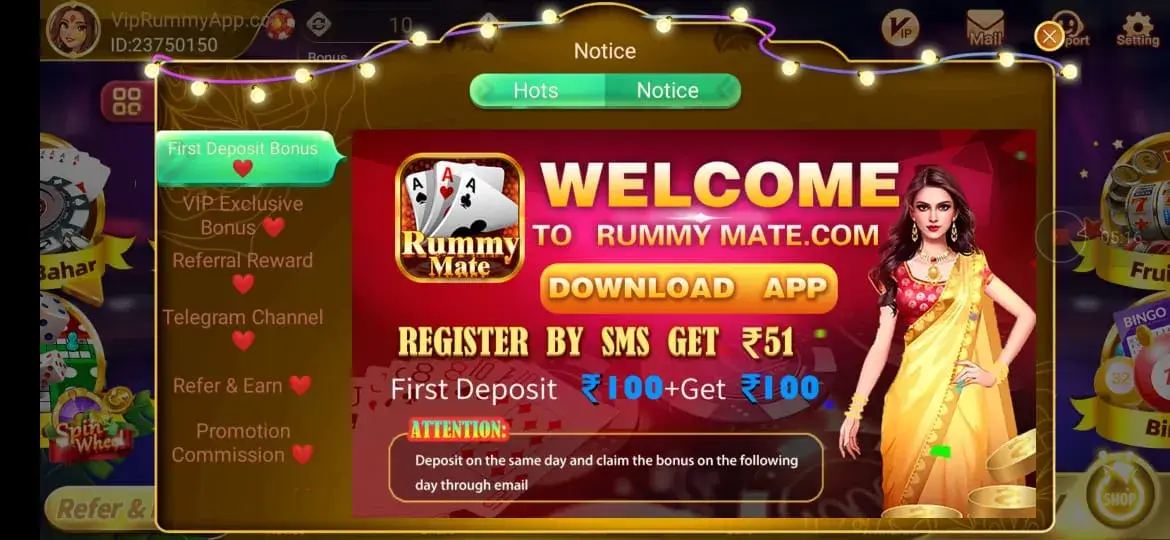 Rummy Mate