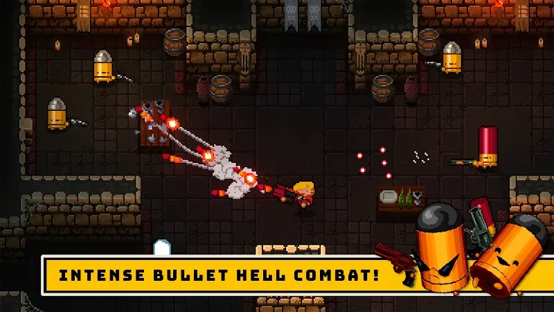 Enter the Gungeon Mod
