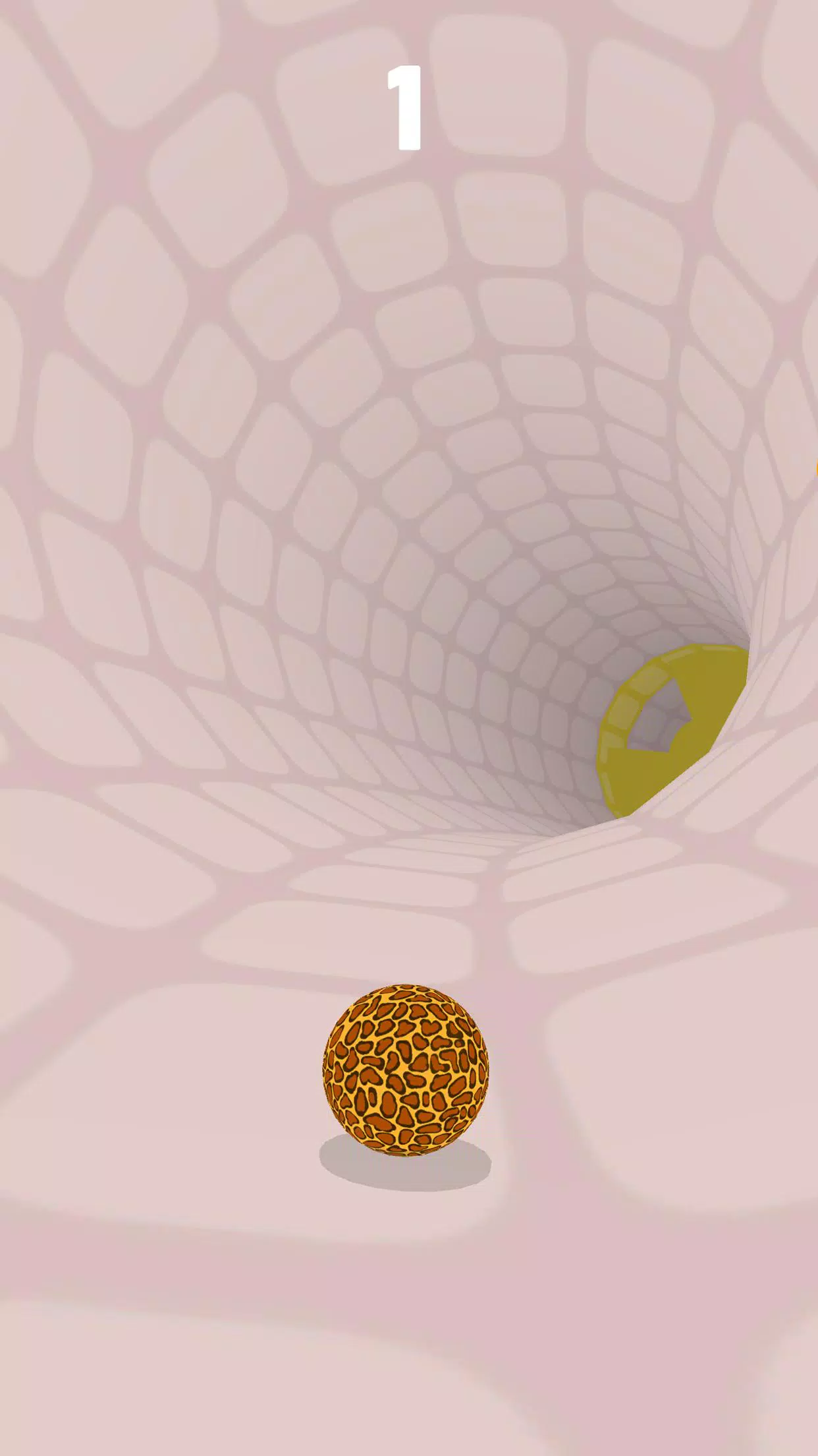 Rotator