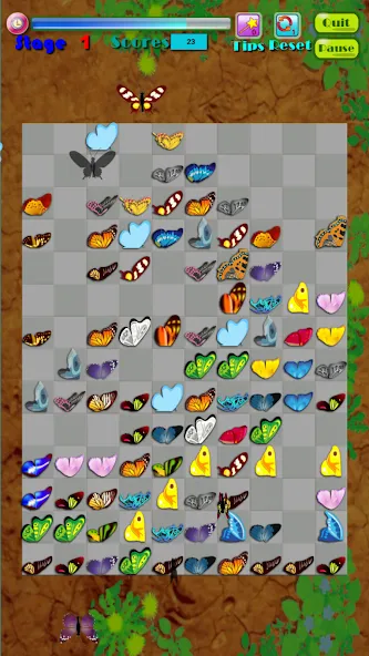 Butterfly Kyodai