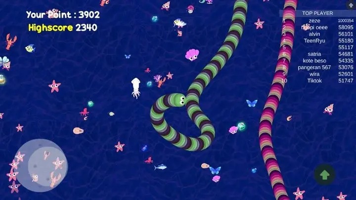 New Cacing.io 2020
