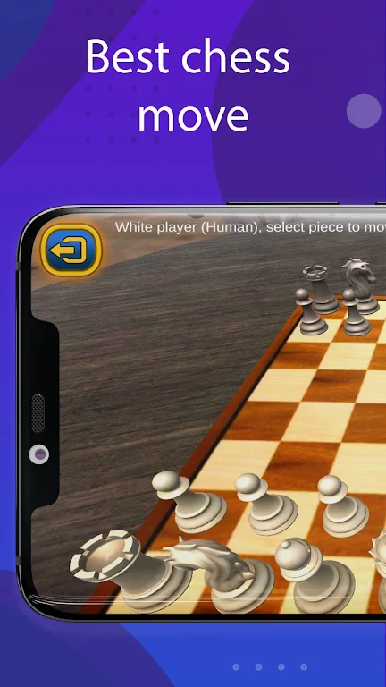 3D Chess Game Offline 3D Chess Game Offline