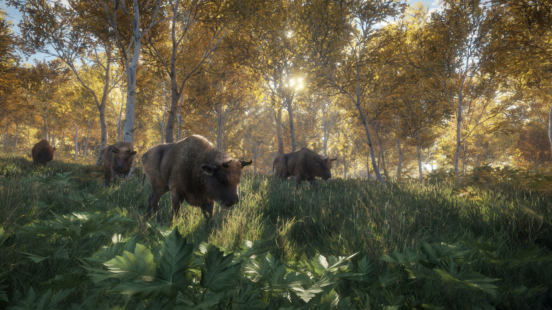 The Hunter: Call of the Wild™