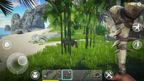 Last Pirate Survival Island Adventure