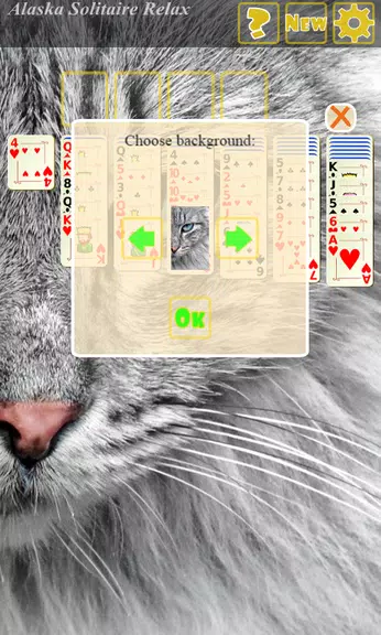 Alaska Solitaire Relax