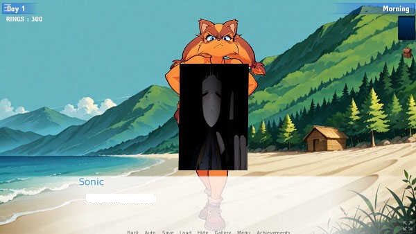 Sonic IDS Quest Sonic IDS Quest