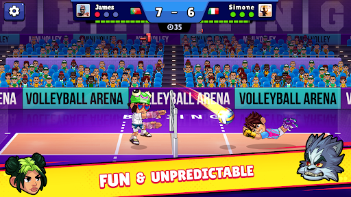 Volleyball Arena Volleyball Arena
