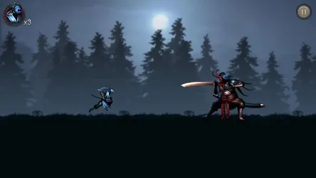 Ninja Warrior