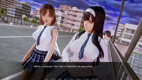 Waifu Academy