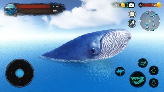 The Blue Whale The Blue Whale
