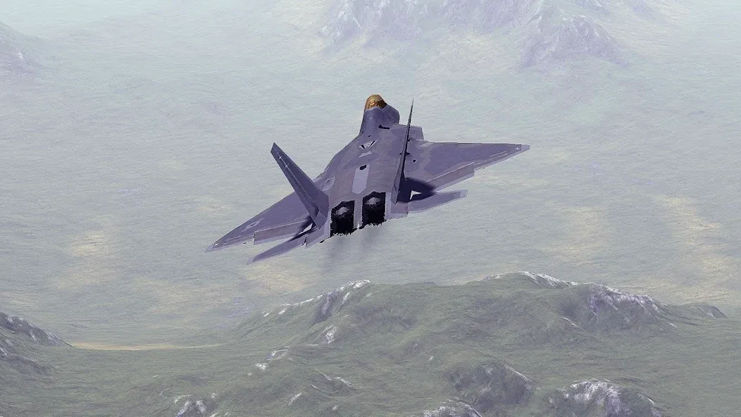 Armed Air Forces