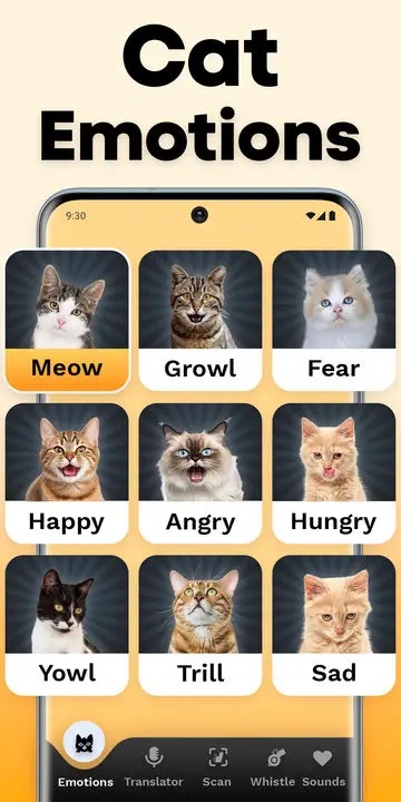 CatTranslator - Cat to Human