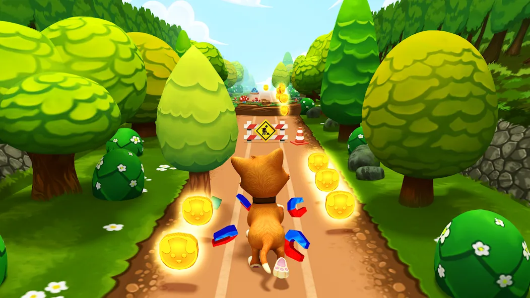 Pet Run