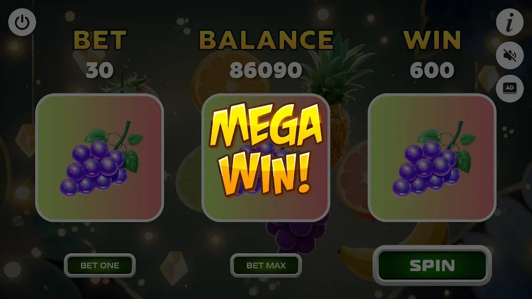 Fortune Winner