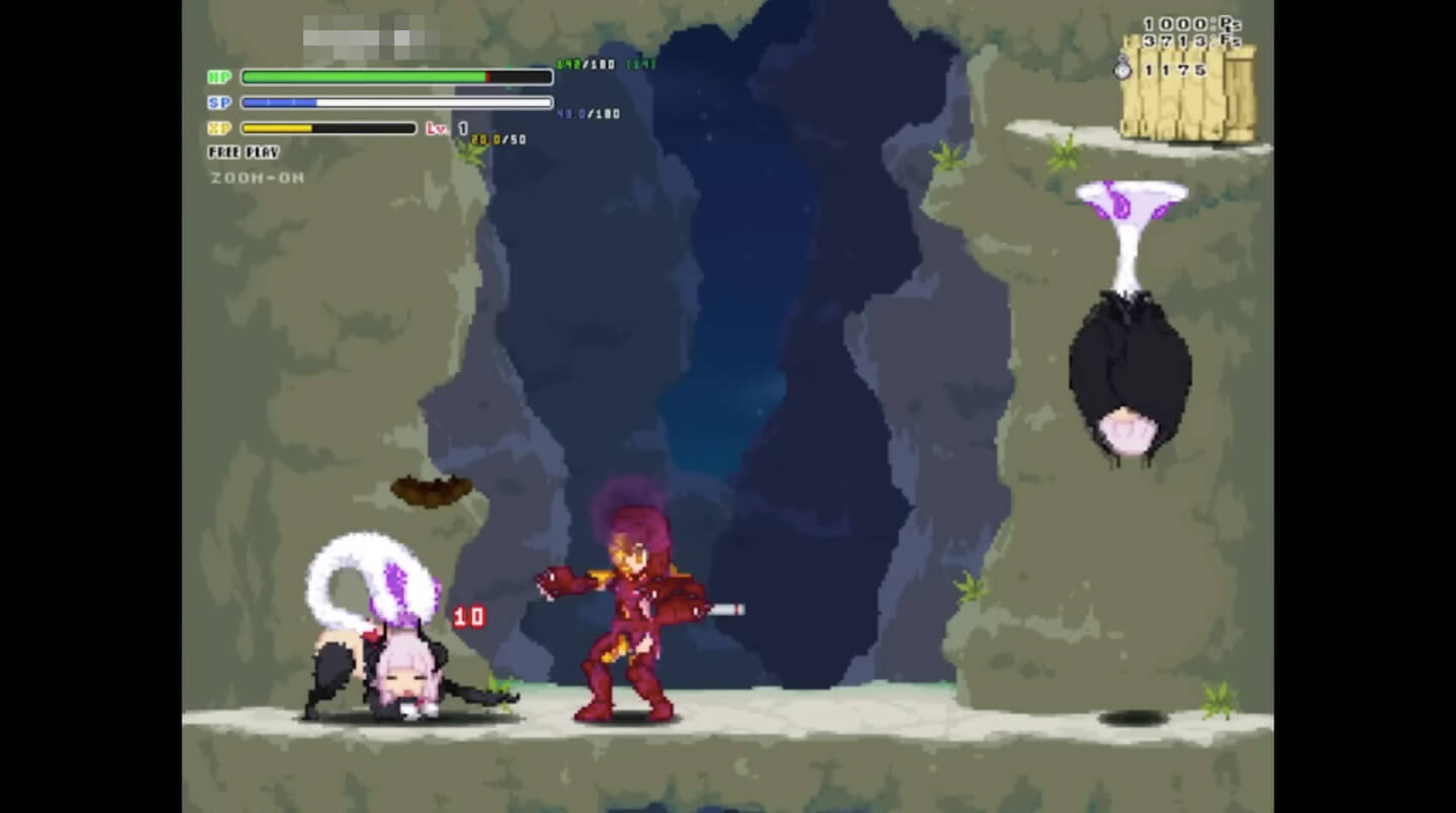 Echidna Wars
