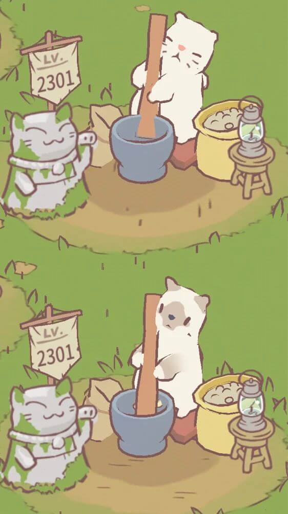 Cats and Soup