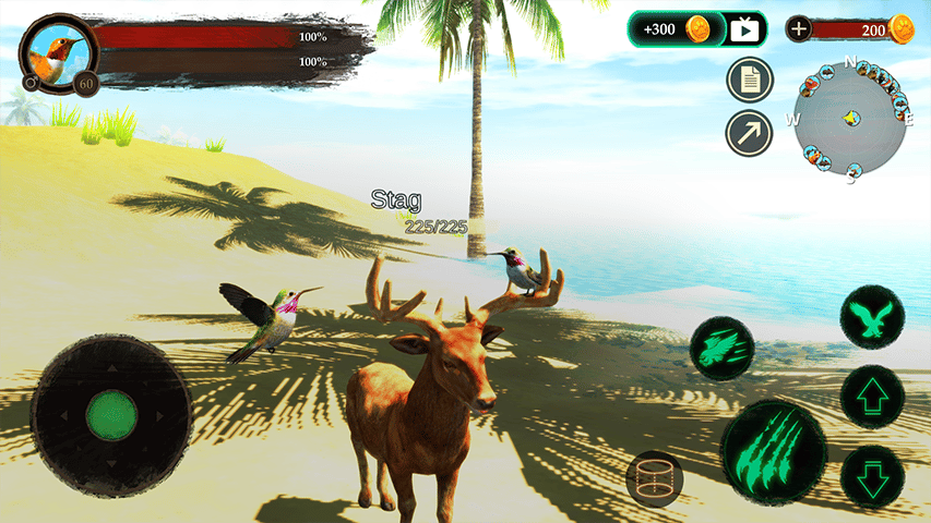 Hummingbird Game Free Hummingbird Game Free