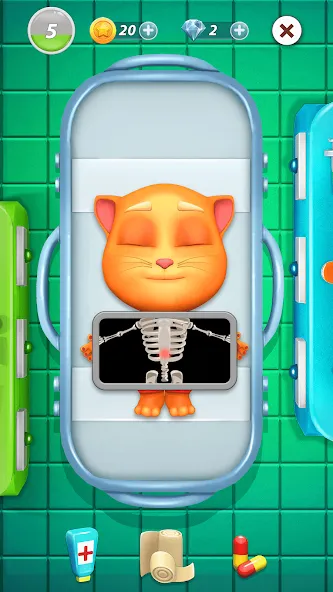 Virtual Pet Tommy