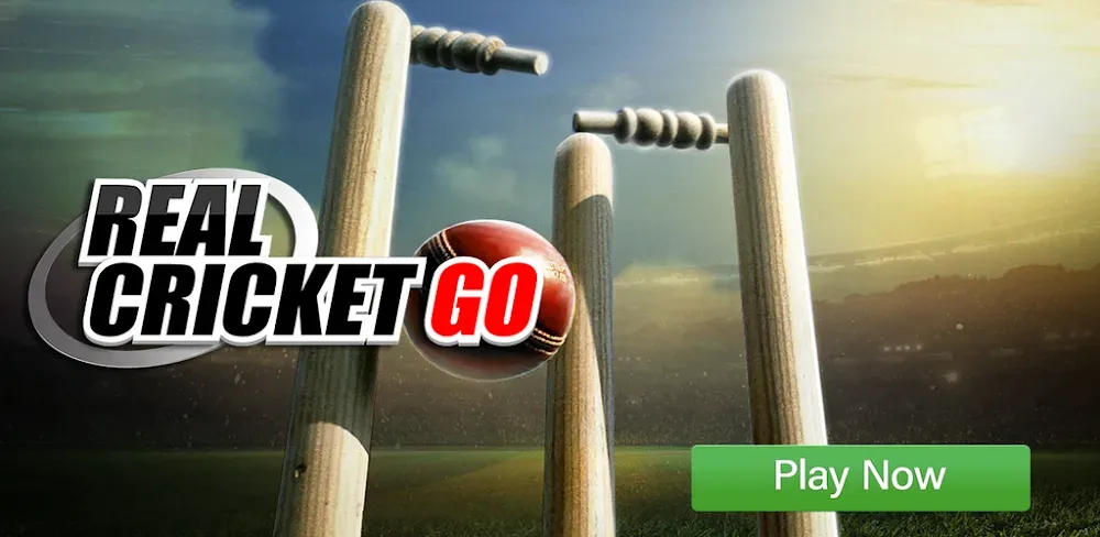 Real Cricket GO