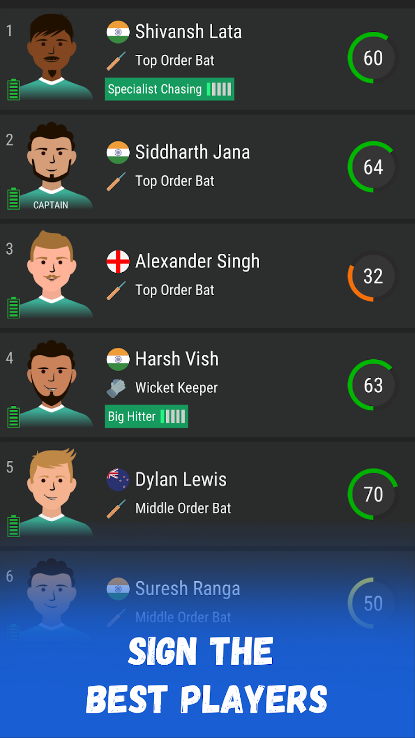 Wicket Cricket Manager