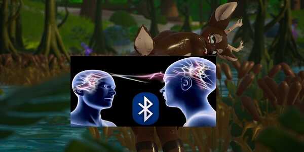 Sapphire Safari