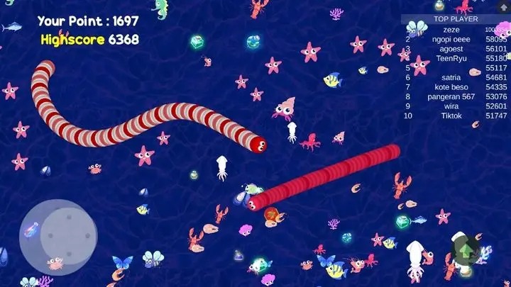 New Cacing.io 2020