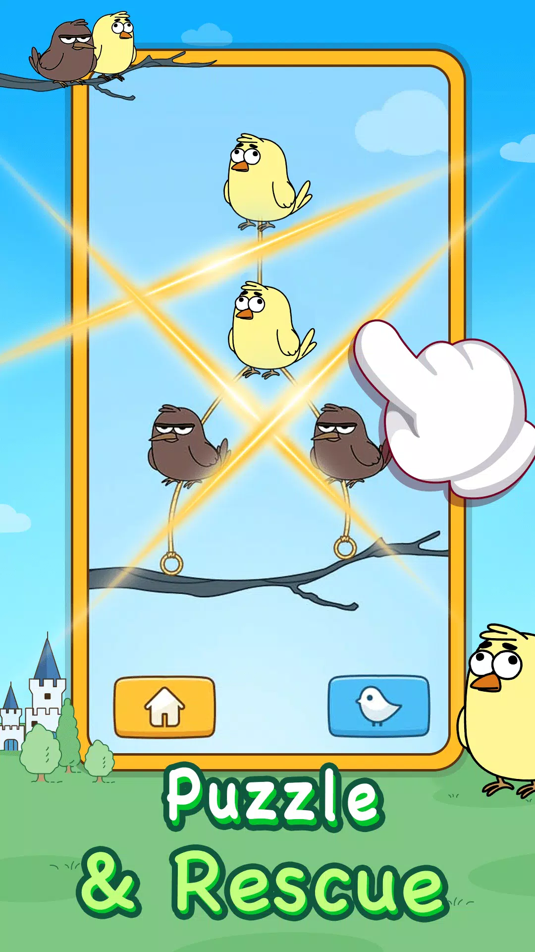 Super Birds Super Birds