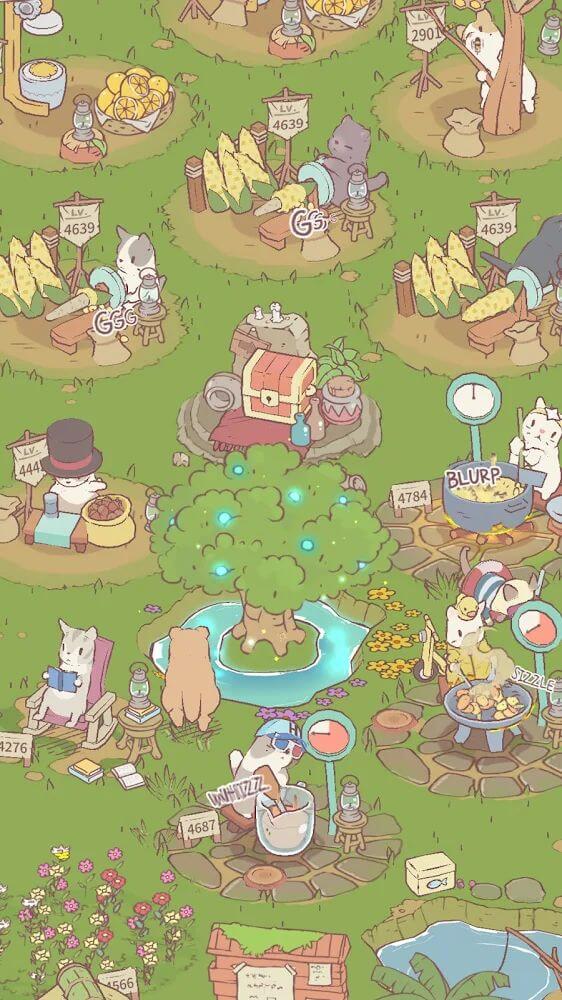 Cats and Soup
