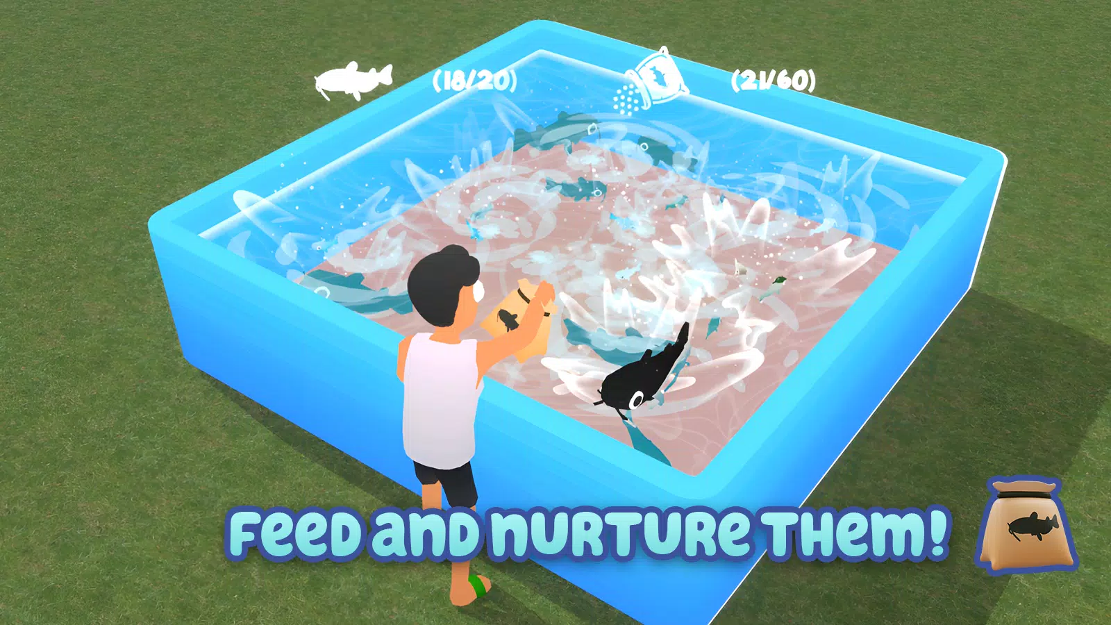 Catfish Breeder Life Catfish Breeder Life