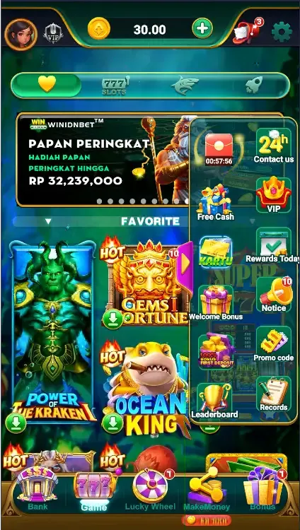 WIN IDN