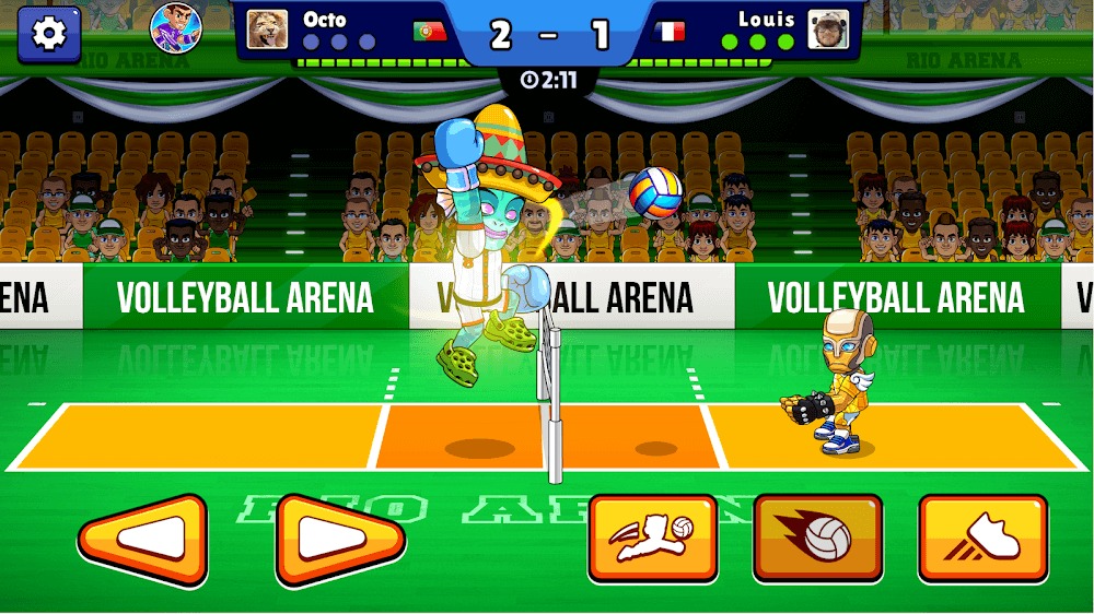 Volleyball Arena Volleyball Arena