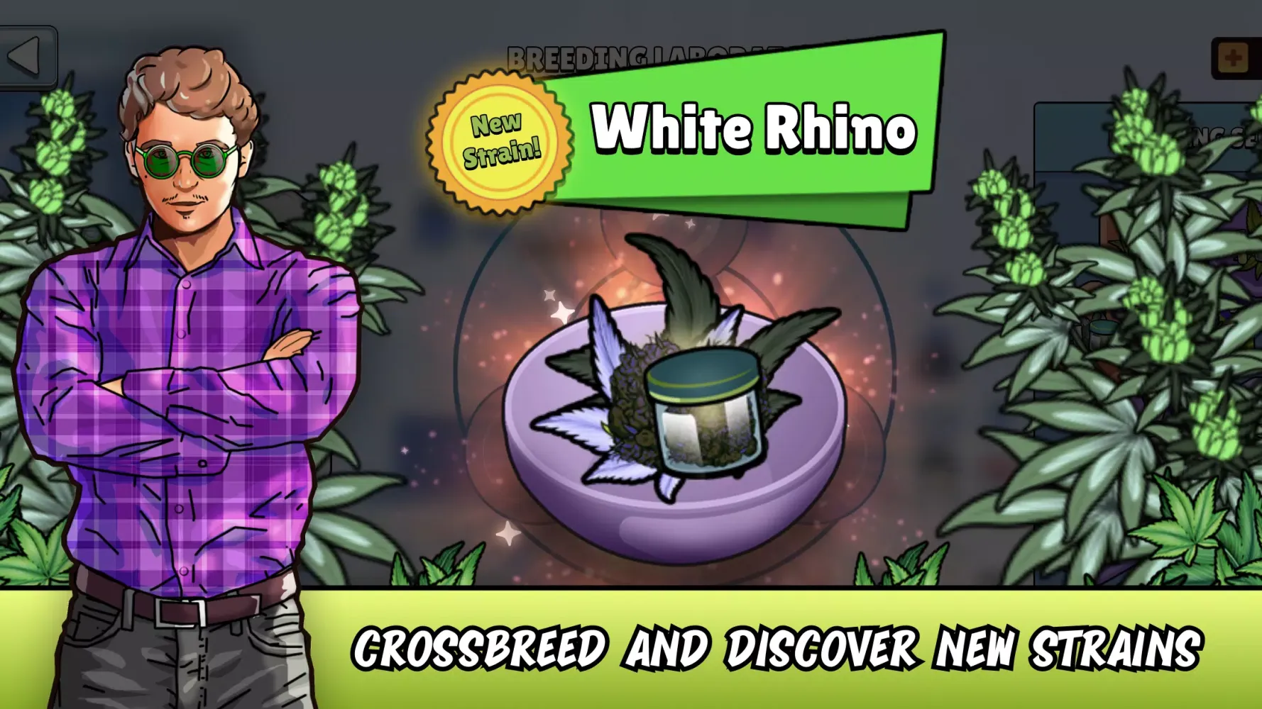 Weed City - Hemp Farm Tycoon