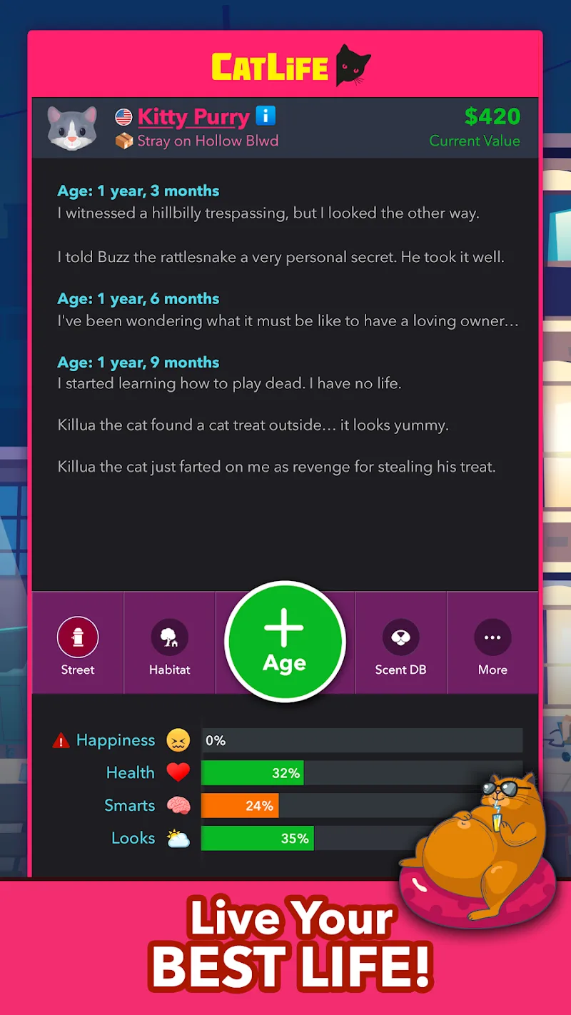 BitLife Cats - CatLife BitLife Cats - CatLife