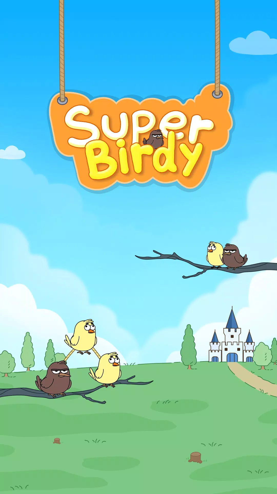 Super Birds Super Birds