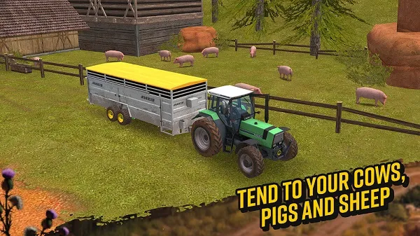 FS 18