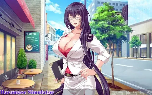 Haamase Simulator