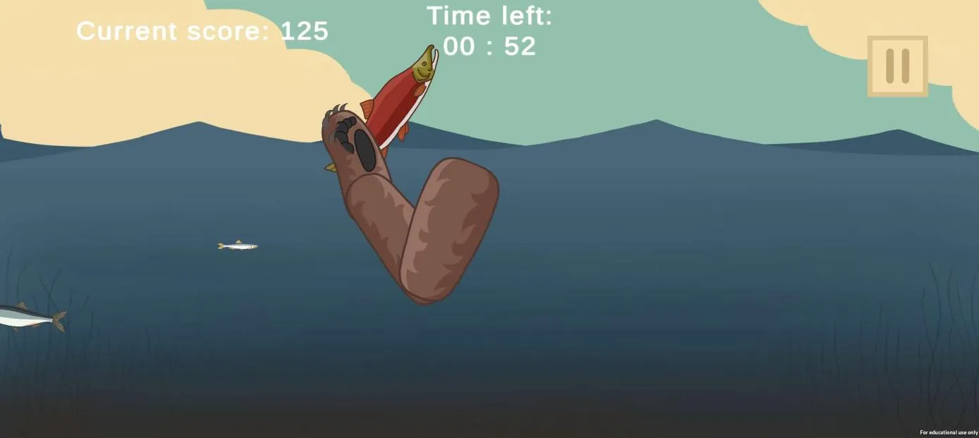 Bear Fishing Bear Fishing